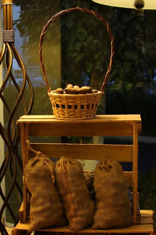 Hotel Villa De Valverde Ica Zewnętrze zdjęcie